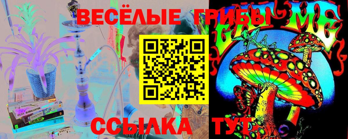 Галлюциногенные грибы мухоморы Гусиноозёрск