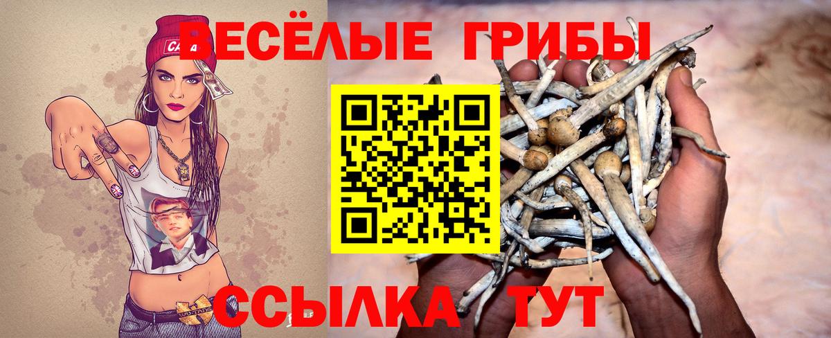 Гусиноозёрск  Псилоцибиновые грибы Psilocybe  Галлюциногенные грибы Magic Shrooms  купить закладку  Вход с VPN 