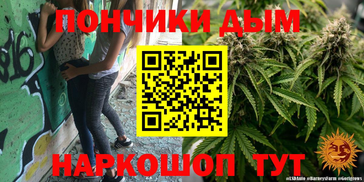 Канабис планчик Гусиноозёрск